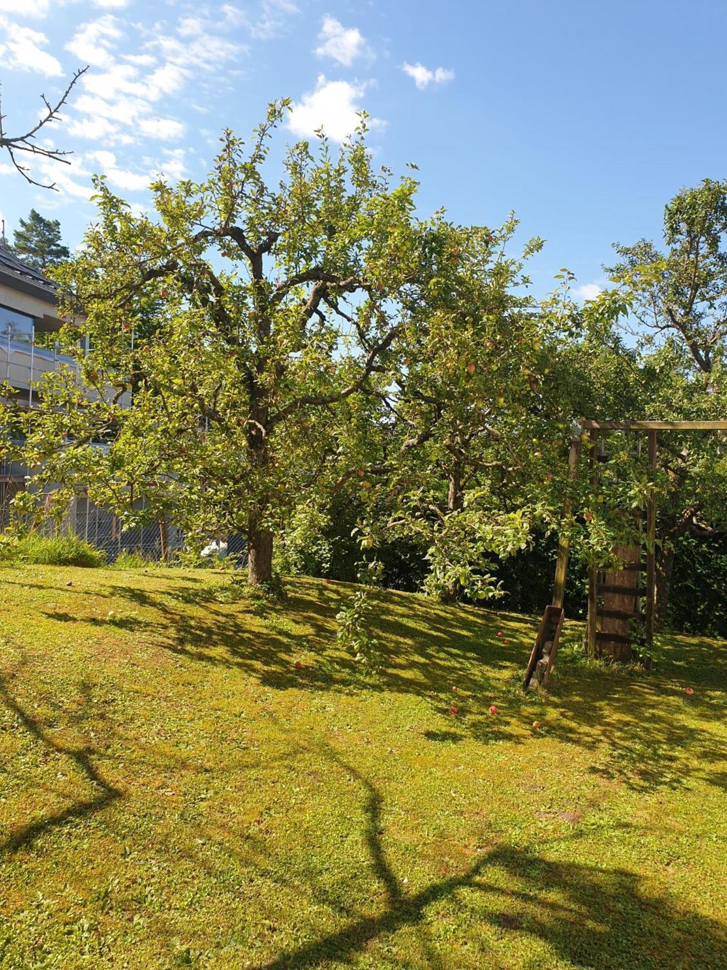 Haus Thea Bei Stuttgart Appartement